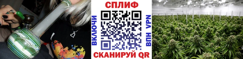 Магазины продажи наркотиков Горно-Алтайск Альфа ПВП Метамфетамин Кетамин Меф ГАШ