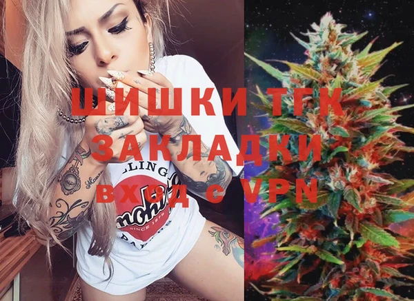 гидра Армянск