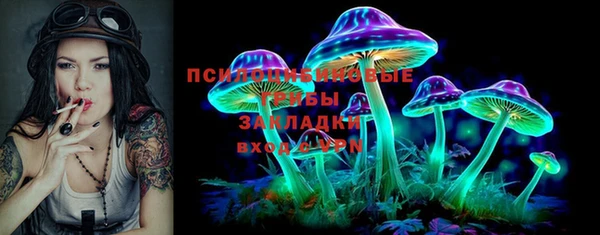 винт Арсеньев