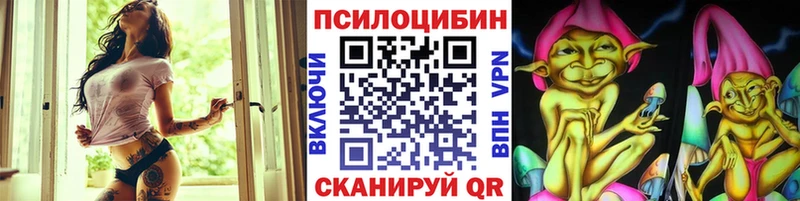 кракен как зайти  Горно-Алтайск  Псилоцибиновые грибы мицелий 